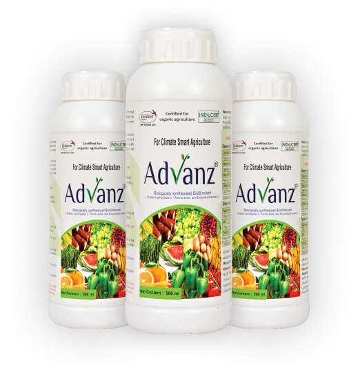 advanz