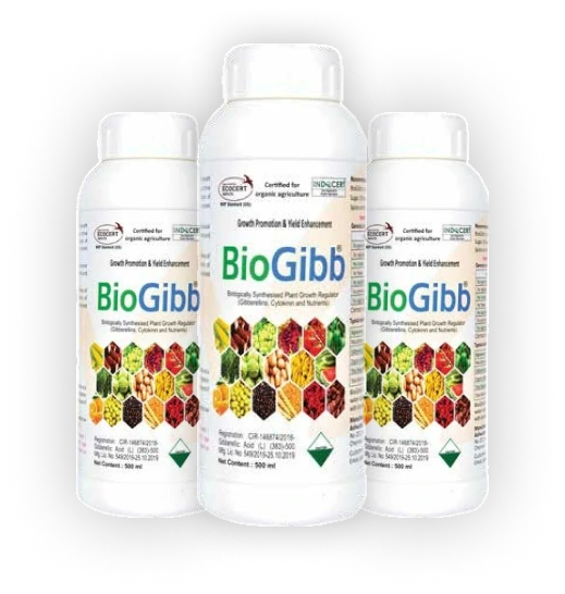 biogibb