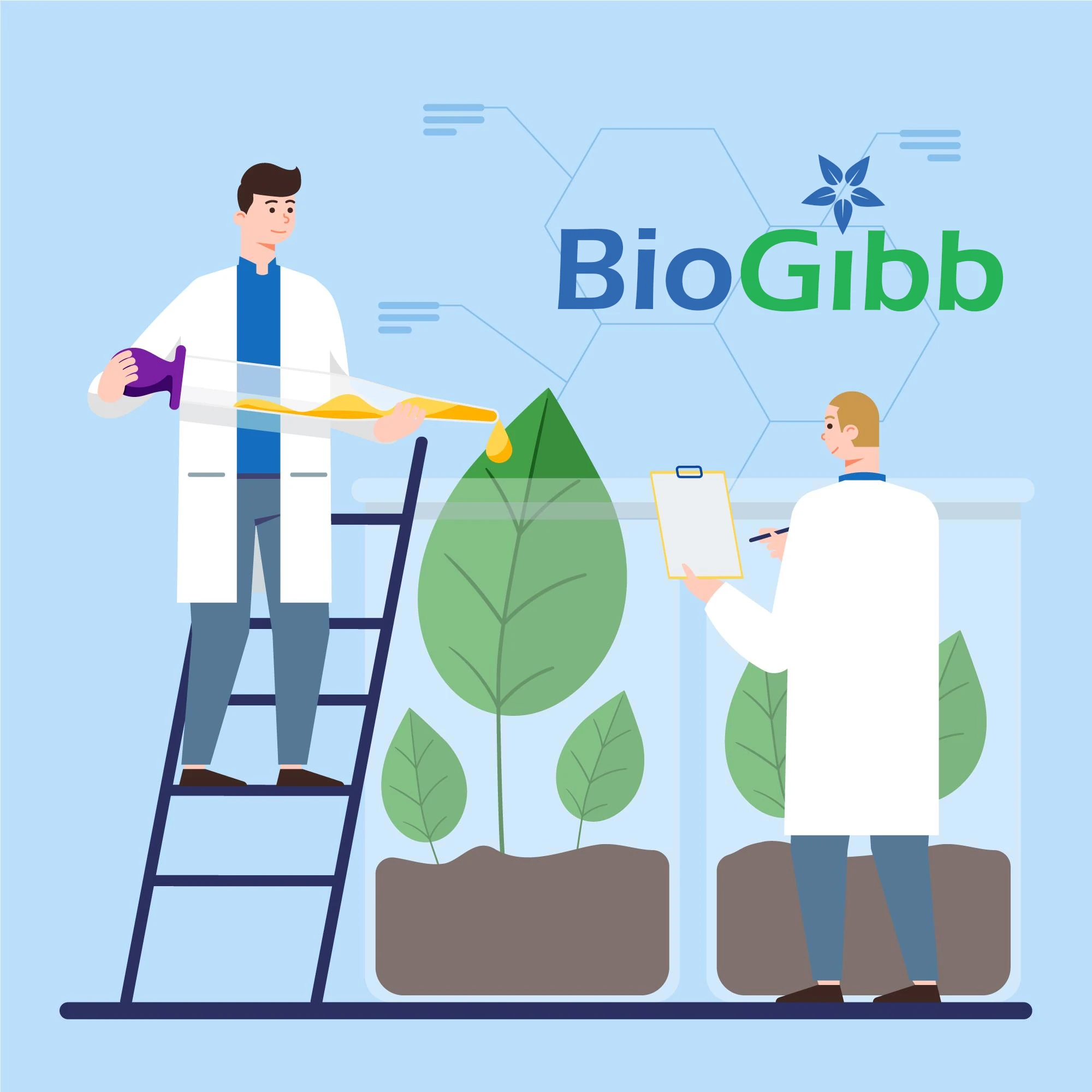 biogibb